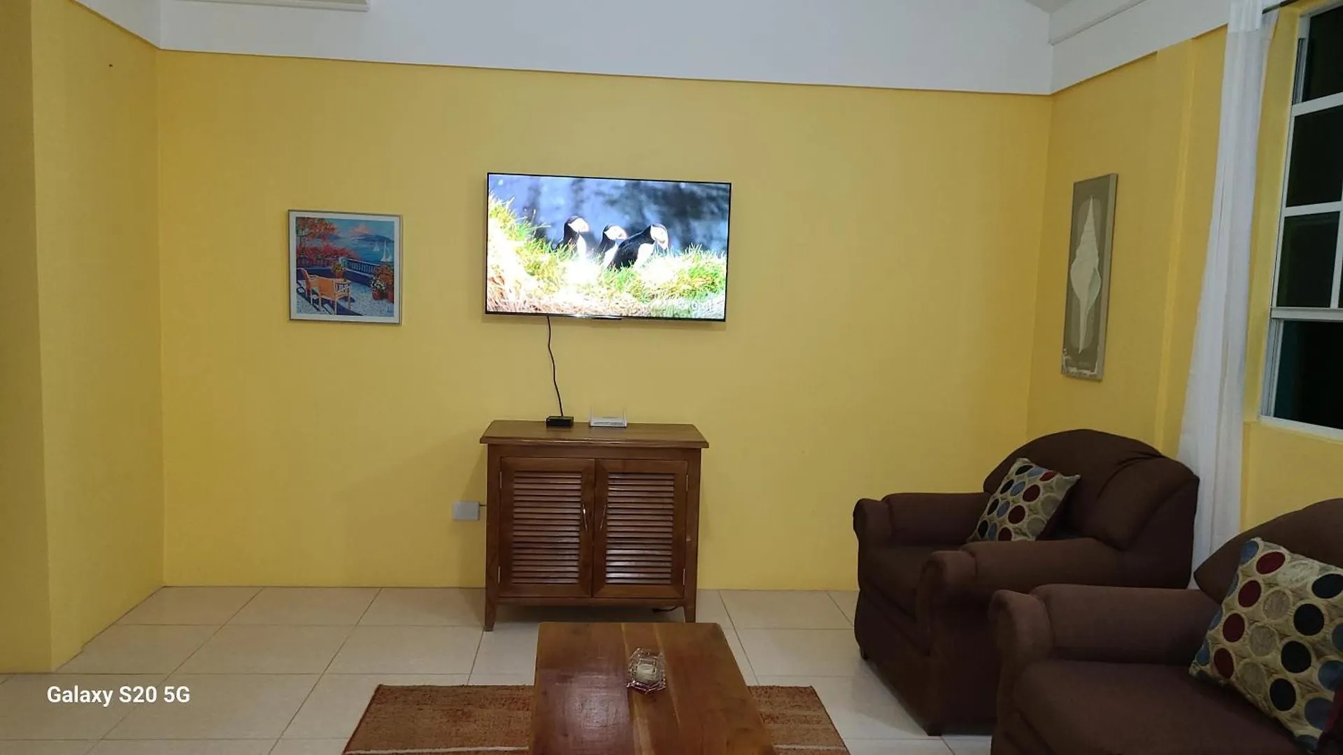 Valley View Roseau Apartment